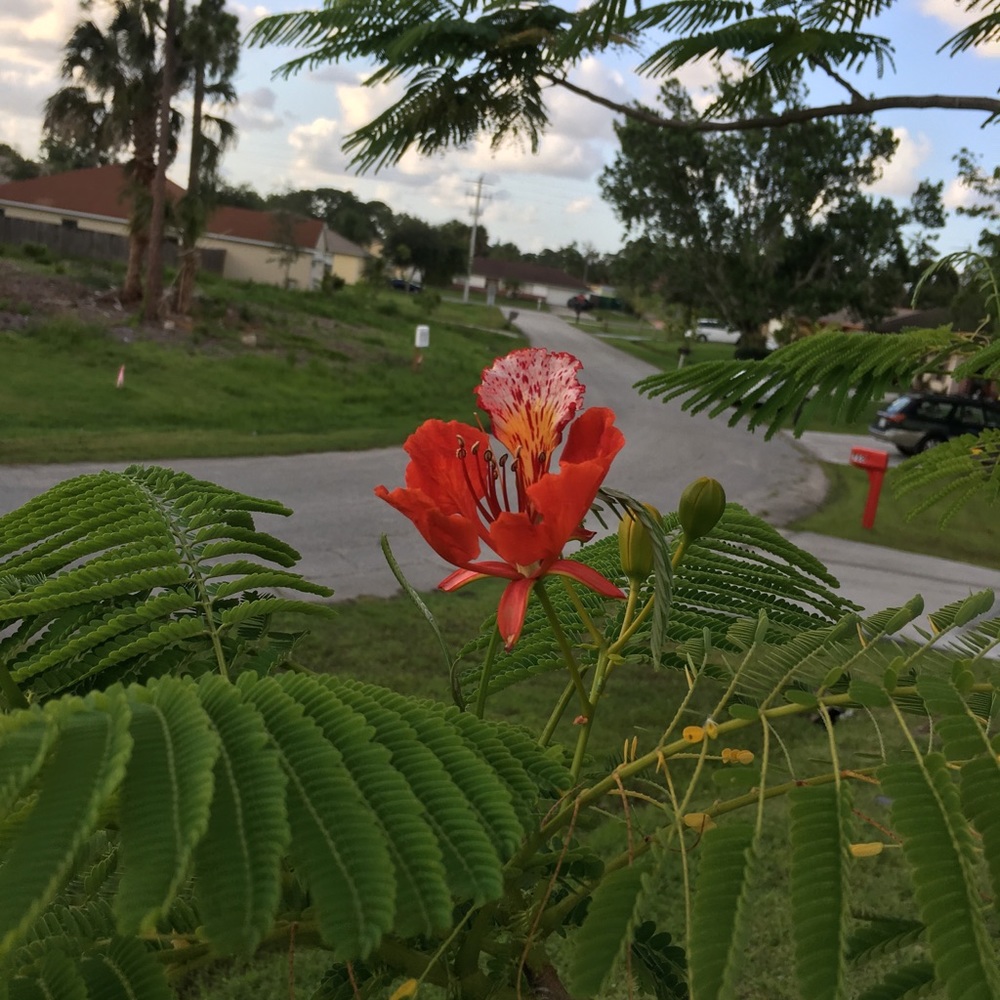 Meet your Posher, Denyse